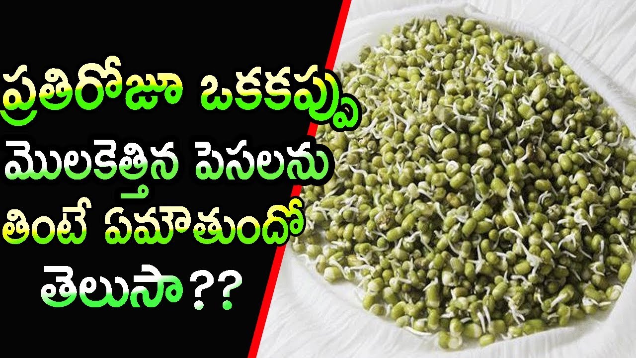 Health Benefits of Sprouts Telugu II Telugu Health Tips II మొలకెత్తిన