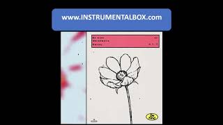 Marshmello ft Halsey Be Kind Instrumental DL Link