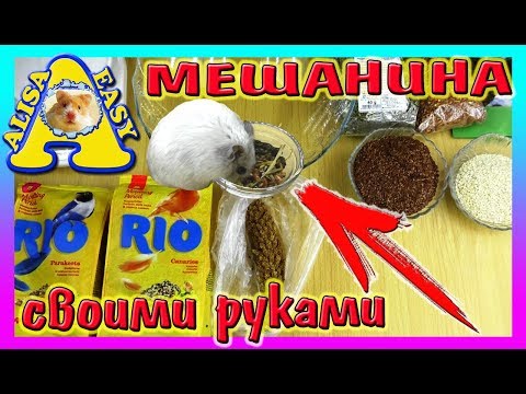 КАК сделать КОРМ для ДЖУНГАРСКОГО хомяка  СВОИМИ РУКАМИ / МЕШАНИНА для Кемпбелла / Alisa Easy Pets