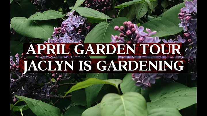 April Garden Tour: Jaclyn is Gardening