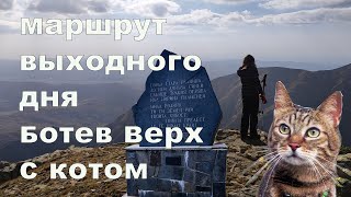 С котом в рюкзаке. Двухдневный поход по горам Болгарии.