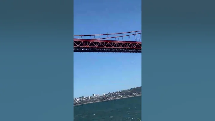 Wing Foil on San Francisco Bay