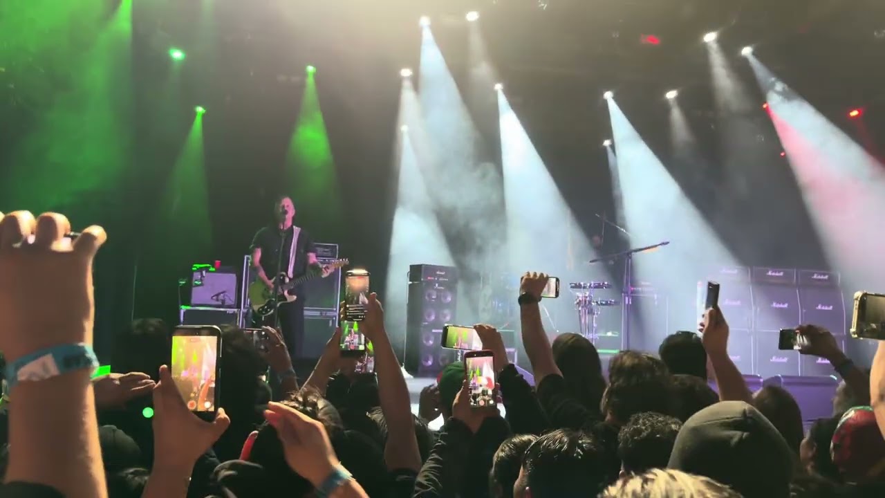 Molotov in NY Fijolero 