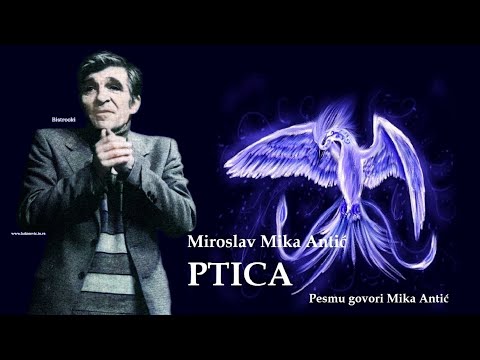 Miroslav Mika Antić – PTICA (Tekst) govori Mika Antić