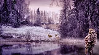 Free No Copyright 4K Nature Pond Fog Owl Deer Snow Winter Relaxing Background Screensaver with Music screenshot 2