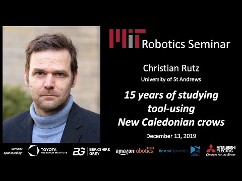 MIT Robotics - Christian Rutz - 15 Years of Studying Tool-Using New Caledonian Crows