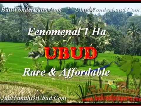  JUAL  MURAH TANAH di  UBUD  BALI 100 Are di  Ubud  Pejeng YouTube