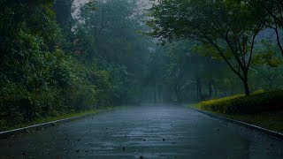 【白噪音，雨聲】✅樹林裡的真實雨聲和遠處的雷聲⚡讓人放鬆，讓人入睡，（睡眠/治愈/寫作業環境音）