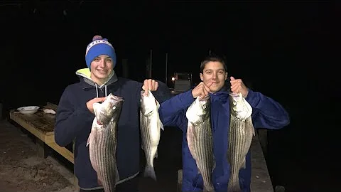 POSSIBLE WORLD RECORD striper caught in sturgeon creek