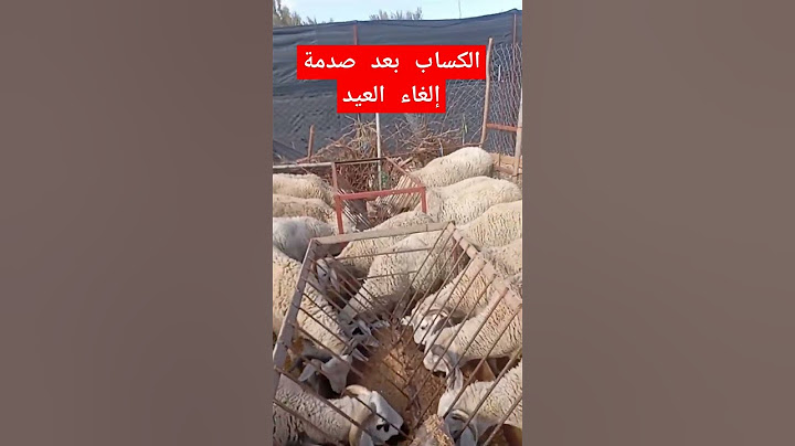الكساب بعد صدمة إلغاء العيد.الله يدير ليهم لي فيها الخير#الحولي الصردي# بني مسكين#إكسباور#خبر عاجل##
