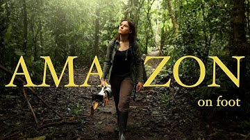 Deep Inside the Amazon Rainforest with my Camera