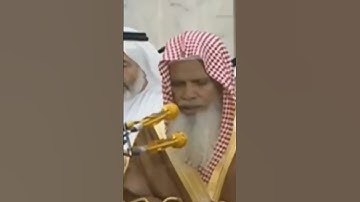 تلاوةخاشعة لإمام الحرم المدني الشيخ علي الحذيفي ( تلاوة قرانية)