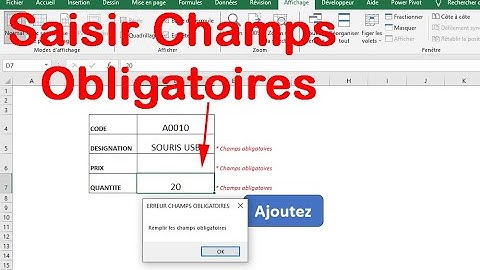EXCEL VBA_Integer la saisie des champs obligatoires dans une feuille de calcul