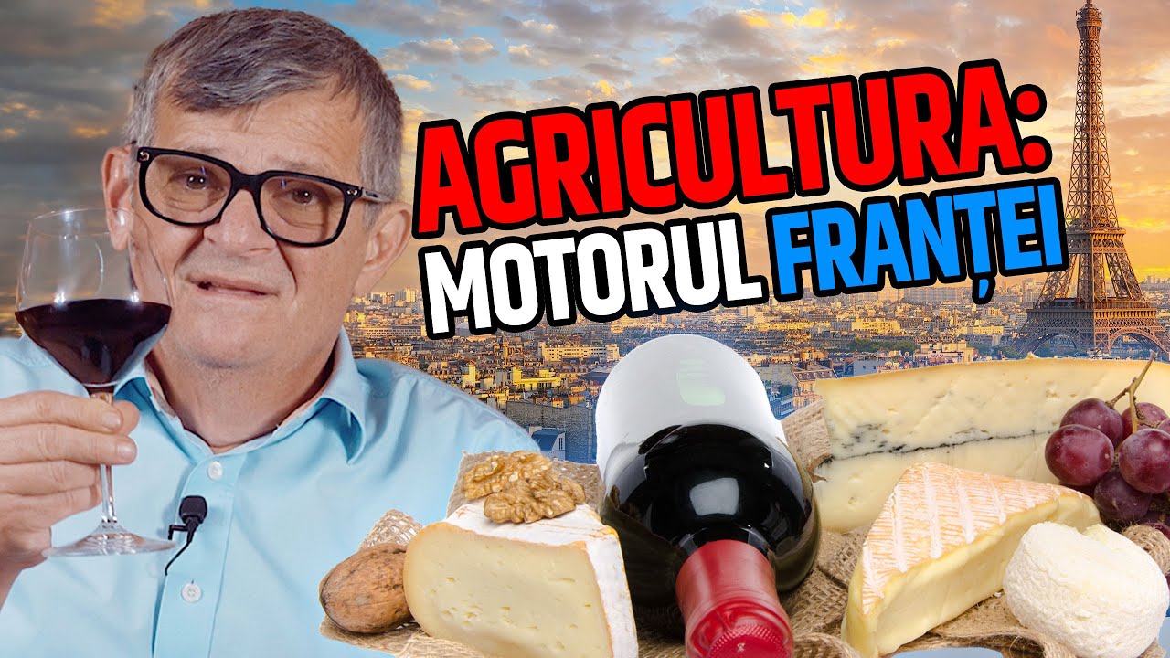 Ce Înseamnă un Vin de Mare Calitate? O Călătorie prin Elitele Franțuzești