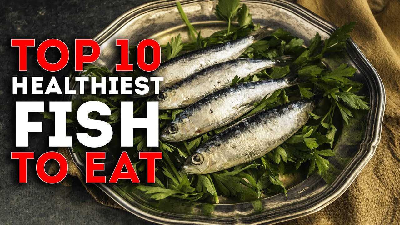 Top 10 Healthiest Fish To Eat