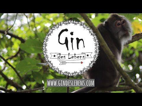 Monkey Forest Ubud Bali Indonesia | Indonesien