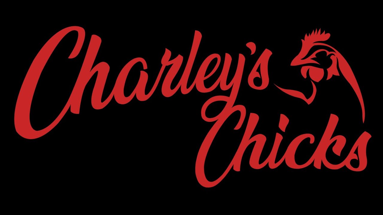 2023 Charlies Chickens! The Family version.. YouTube