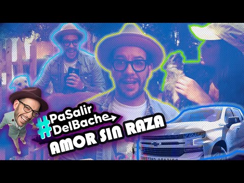 DÁNDOLES HOGAR a muchos PERRITOS | Faisy