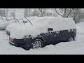 АВТОРИНОК ЛУЦЬК 11.02.2021 /АВТОРЫНОК ЛУЦК. ЦІНИ. КЛІТКА