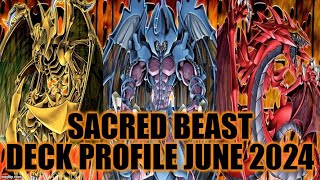 SACRED BEAST DECK PROFILE (JUNE 2024) YUGIOH!