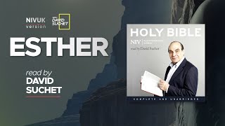 The Complete Holy Bible - NIVUK Audio Bible - 17 Esther