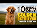 10 Things Only Golden Retriever Owners Understand