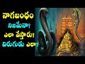  nagabandham real storythe secret of nagasstory behind nagabandham