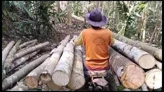 supra ojek kayu palang