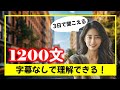 1200 English Phrases|3日で変わる英語力!! #英会話 #日常英語 #初級英語