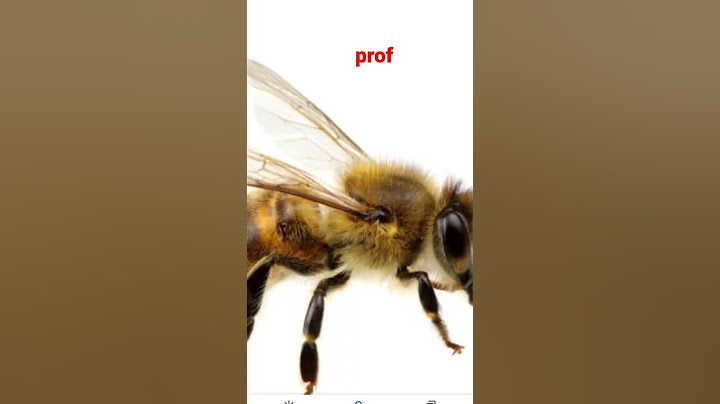 studenti vs prof