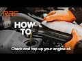 How to check and top up your engine oil – expert advice from the RAC