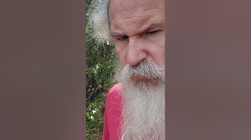 if a tree falls in the woods and no one is there to hear it does it make a sound  ?