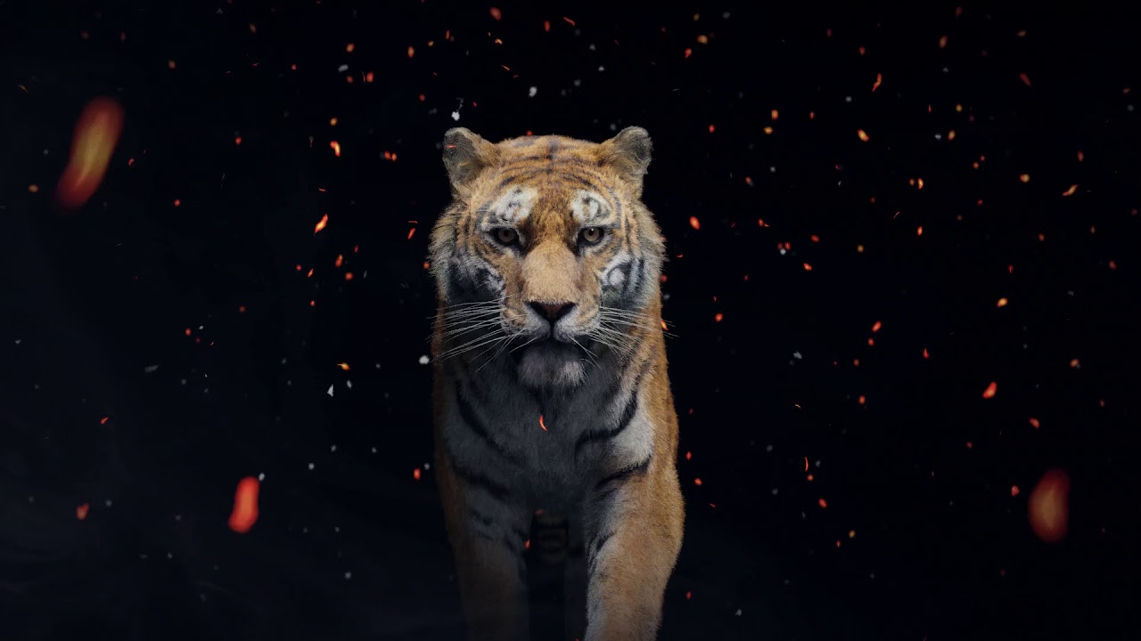 Tiger - Eevee development test - YouTube
