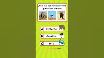 Spanish Quiz Show #ytshorts #independencedayquiz #countryquiz #quiztime #trivia #quiz #learn #nobe