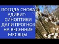 ПОГОДА СНОВА УДИВИТ:  СИНОПТИКИ ДАЛИ ПРОГНОЗ НА ВЕСЕННИЕ МЕСЯЦЫ