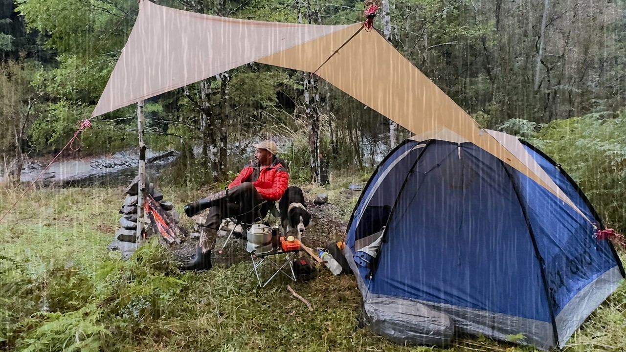 Camping in Rain   Cold and Grim   Dog   Tent   Solitude