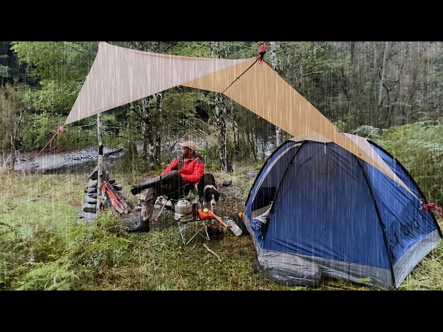 Tent Camping In The Rain With Dog class=