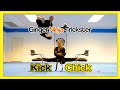 Gnt  kick chick martial arts sampler  taekwondo kicks  flips