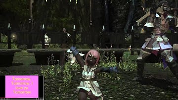 FFXIV EMOTE BUG