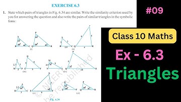 Class 10 Maths | Chapter 6 | Exercise 6.3 Q1 | Triangles | NCERT