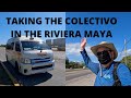 How to take the colectivo riviera maya cancun playa del carmen tulum