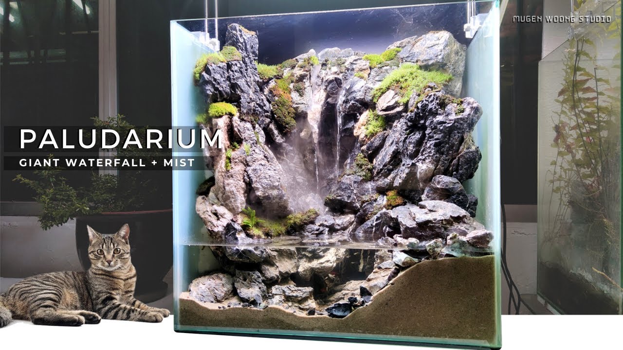 Re.【滝と川と水の滴るイモリウム9060】立ち上げ/vivarium