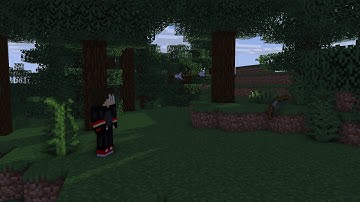 I Try To Beat Minecraft But My Render Distance Is Set To Zero Chunks