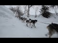 Iditarod 2012: Dog team flying over treacherous Happy River Steps