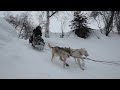 Iditarod 2012: Dog team flying over treacherous Happy River Steps