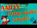 AMOS Using Sound Samples
