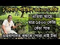 চাহবাগানত কৃষকে পোৱা নাই টকা আগতে পাত পাইছিল ৩৫০০ কেজি এতিয়া পাই ১৫০০ কেজি।Assam Tea garden Reality 