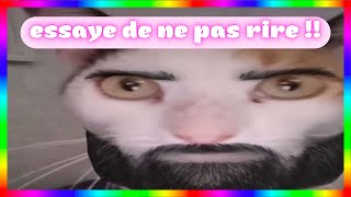 Zap Malaise Tv 100% Meme Inédit Compilation Drôle 