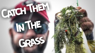 How to Find Bass in Lakes Filled with Grass, Weeds, or Mats