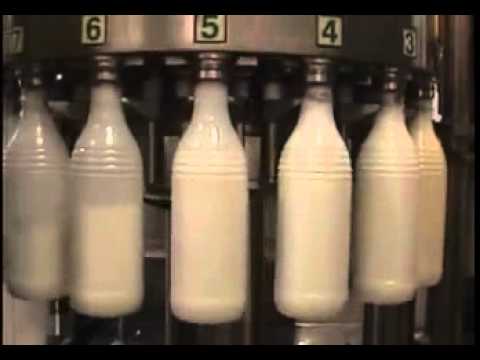 fully automatic milk filling machine by venus packaging machines pvt
